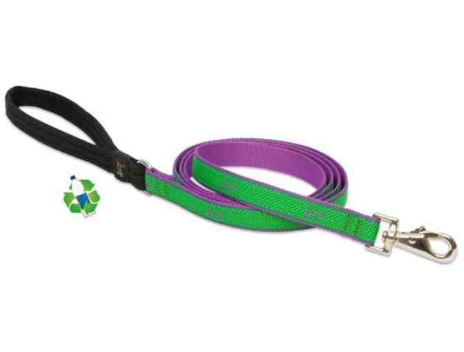 Augusta Green Collar & Leash from Lupine Pet