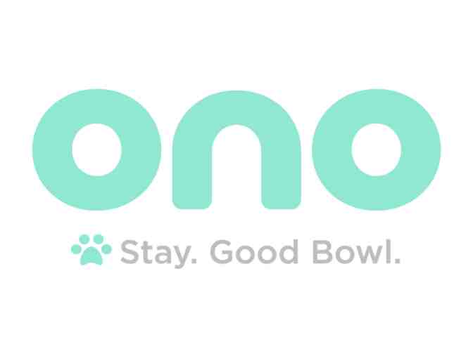 ONO Double Good Food & Water Bowls with Mat in Charcoal