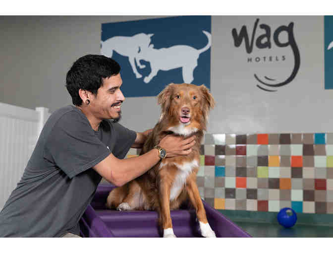 5 Free Days of Daycare valid at ANY Wag Hotel location
