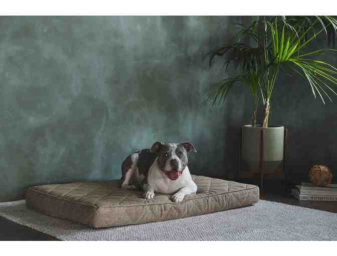 Large Orthopedic Gel Memory Foam Pet Bed by Brentwood Home