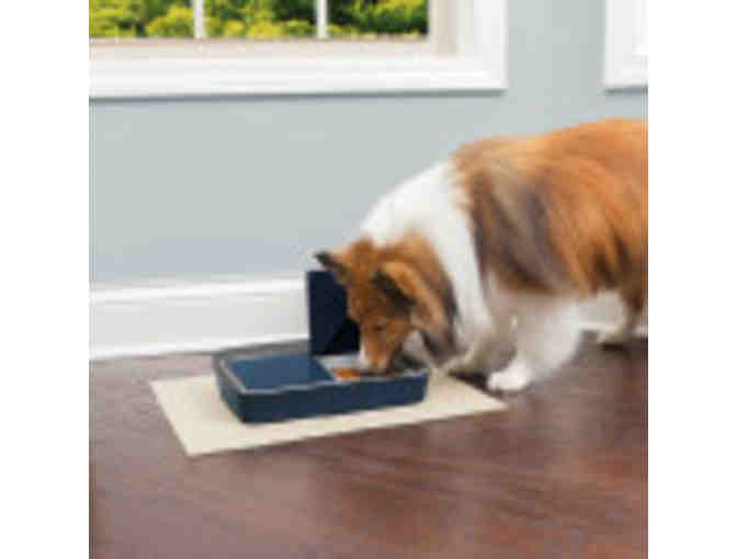 PetSafe Digital Two Meal Feeder for Small to Medium Dogs & Cats