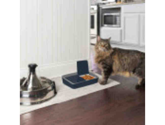 PetSafe Digital Two Meal Feeder for Small to Medium Dogs & Cats