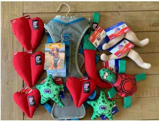 Large Dog Package with Kurgo Harness and 8 Assorted Dog Toys