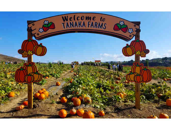4 people to visit Tanaka Farms for Seasonal Farm Tour