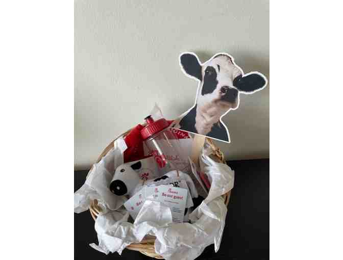 Chick-Fil-A Gift Basket filled with swag and gift cards