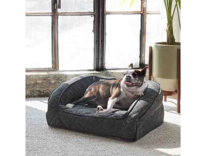 SMALL Orthopedic Runyon Dog Bed by Brentwood Home