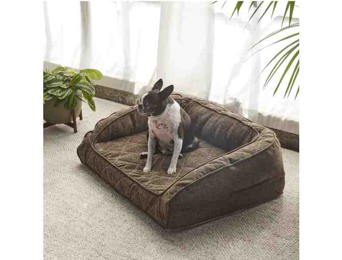 SMALL Orthopedic Runyon Dog Bed by Brentwood Home