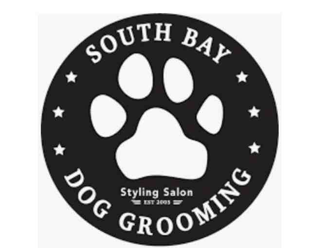 South Bay Dog Deluxe Spa Bath