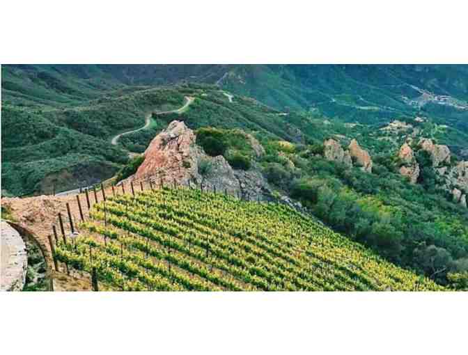 Vineyard Hike for Two People at Malibu Wines