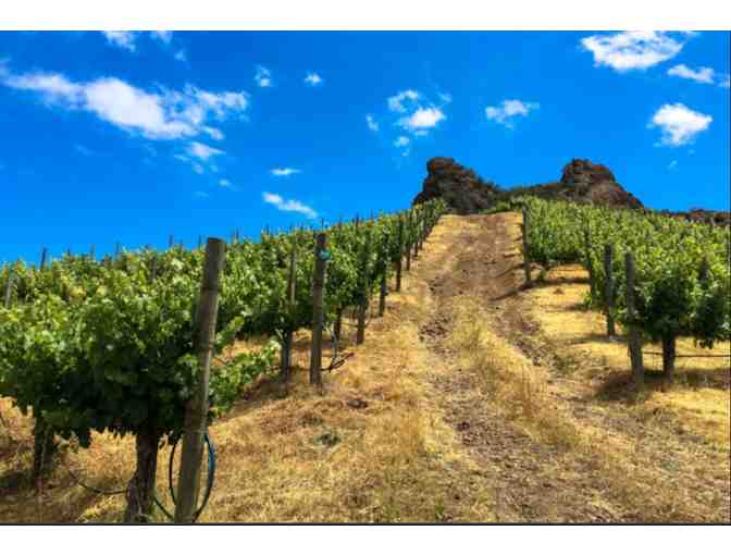 Vineyard Hike for Two People at Malibu Wines