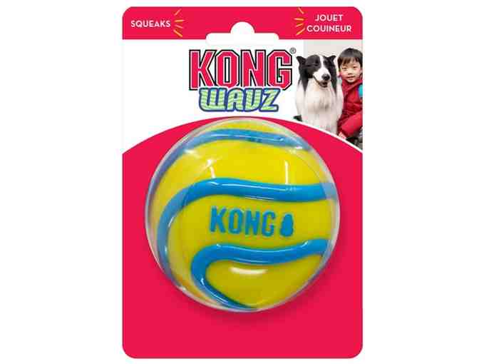 Kong Gift Basket for Fido