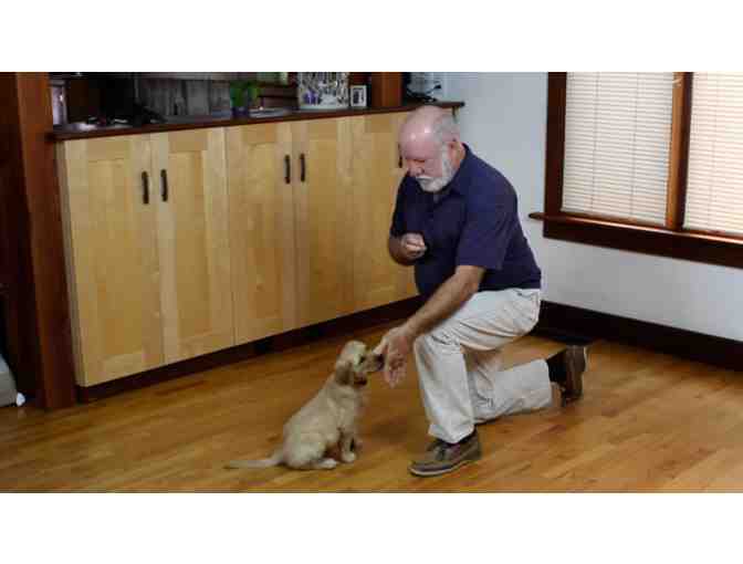 Raise with Praise Dog Training Session with Professional Dog Trainer Paul Owens - Photo 4