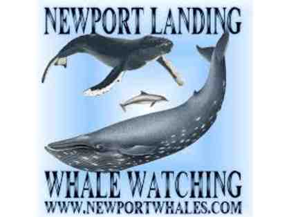 Whale Watching Passes for 4 in beautiful Newport Beach, CA