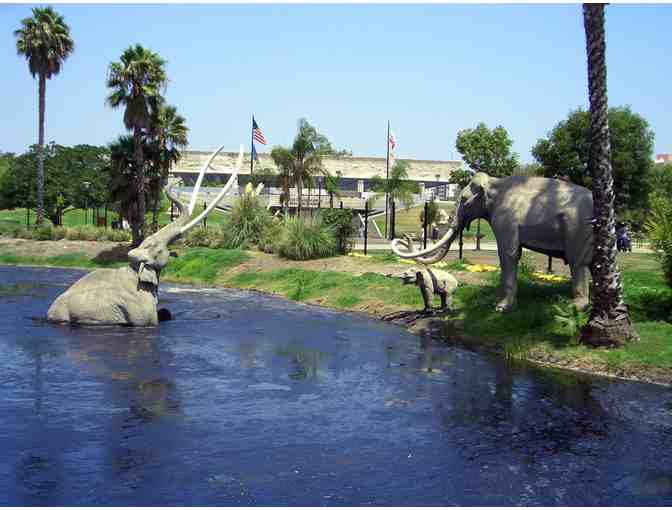 Four (4) Guest Passes to Natural History Museum of LA County or La Brea Tar Pits - Photo 3