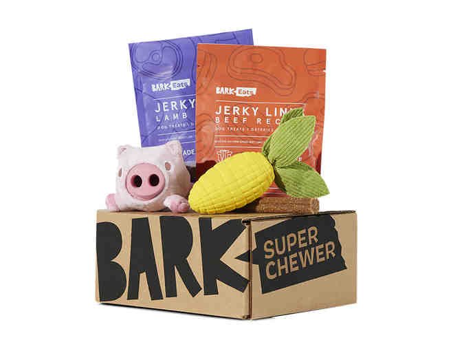 Super Chewer Gift Certificate to BarkBox - Photo 1