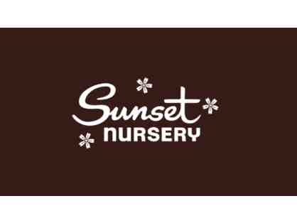 $50 Gift Card to Sunset Nursery