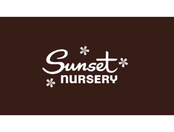 $50 Gift Card to Sunset Nursery - Photo 1