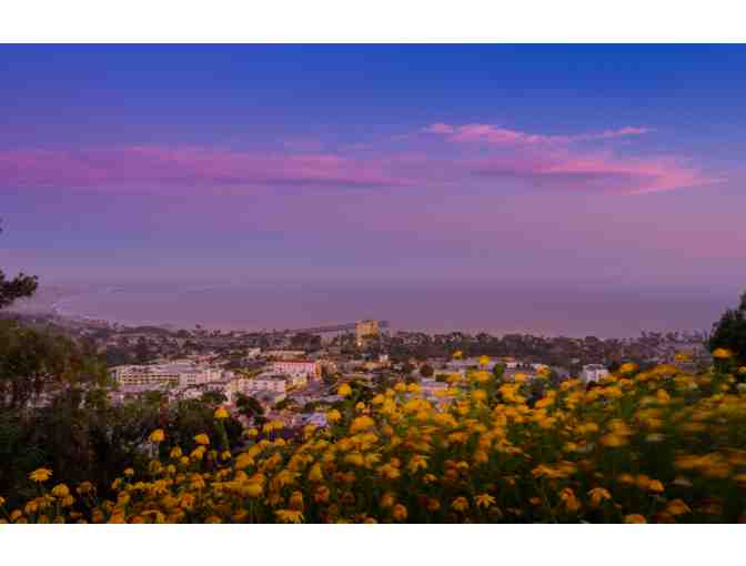 Dual Membership to Ventura Botanical Gardens - Photo 2