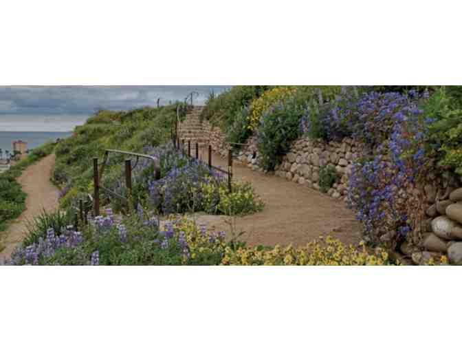 Dual Membership to Ventura Botanical Gardens - Photo 3