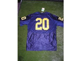 Mike Hart home blue #20 jersey