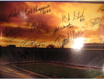 Ron Kramer, Steve Morrison and more.Michigan Stadium poster autographed by 14 former Michigan greats
