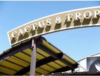 Cactus & Tropicals $25 gift card