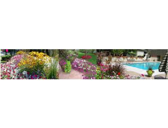Landscape Design Package from Environmental Designs, Inc.