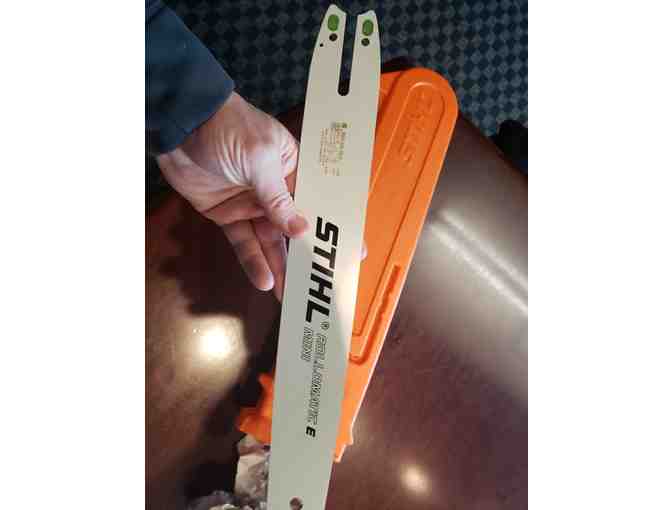 Stihl Chainsaw MS170 40 cm/16' blade and Carrier Package
