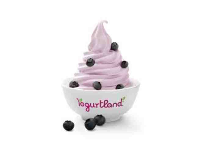 Yogurtland $10 Gift Card
