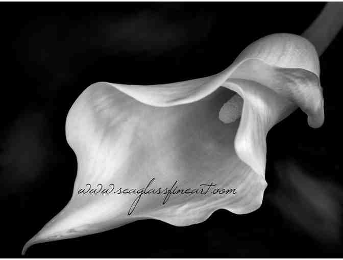 12' Print - Your Choice from over 600 by Seaglass Fine Art