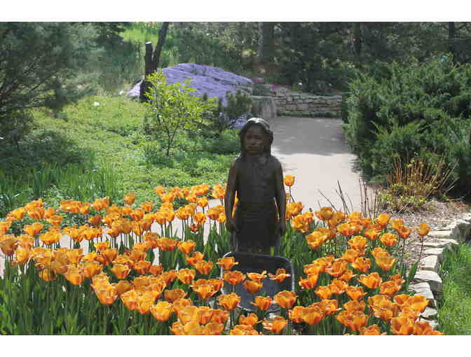 One Year Family or Individual Plus Guest Botanica Membership