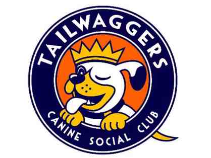 Tailwaggers Canine Social Club - 10 Day Day-Care Club Pass!