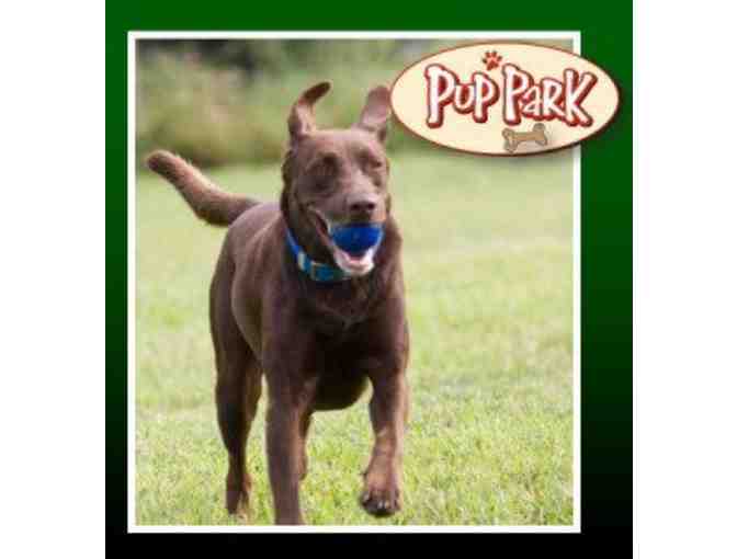 One Year Pup Park Membership at Chisholm Creek Pet Resort!