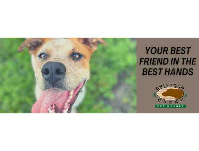 One Year Pup Park Membership at Chisholm Creek Pet Resort!