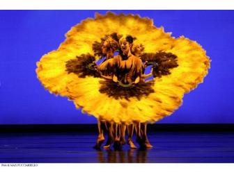 MOMIX Dance Performance for 4 and Dinner at Harney Sushi (Old Town) ($200 credit), May 5th