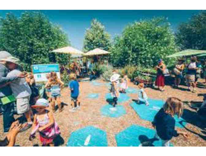 Birthday Party Package at Agua Hedionda Lagoon