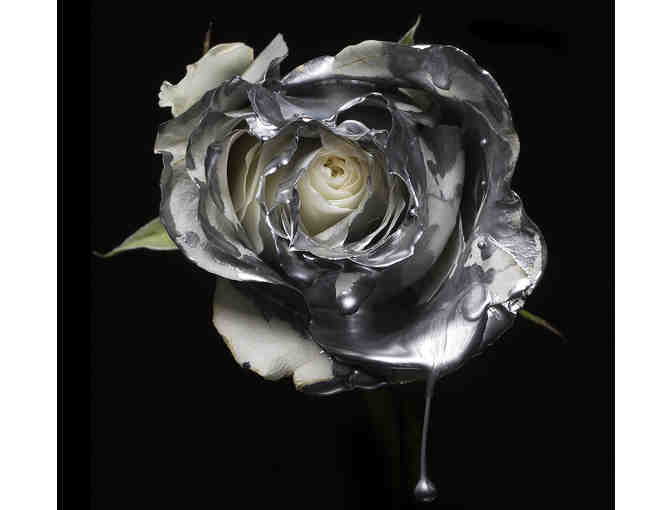 Grey Love Part 1 and Part 2 Series by Kirsty and Estelle