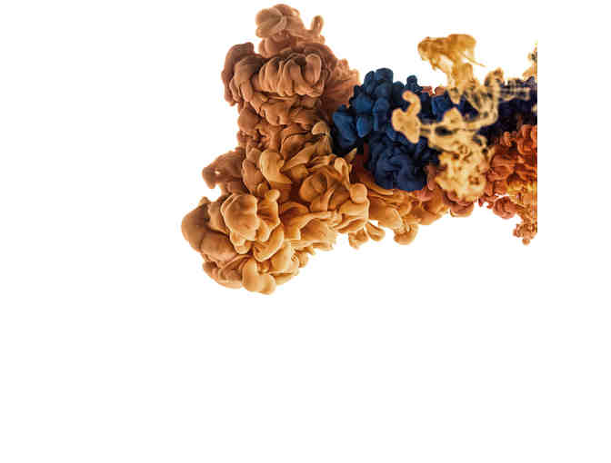 Camp Vivid Collection