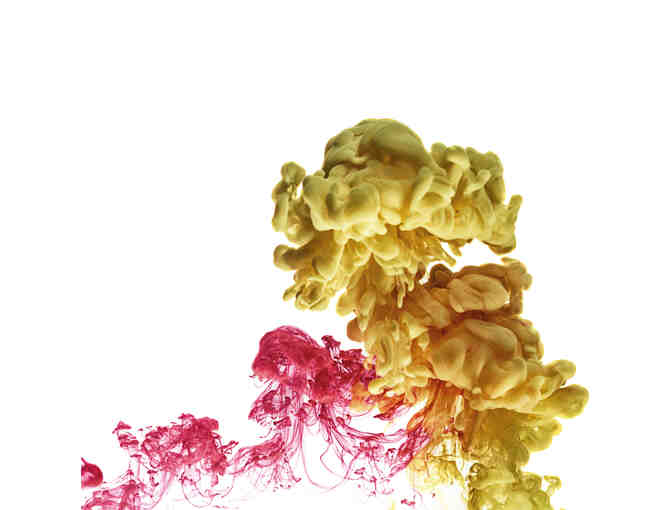 Camp Vivid Collection