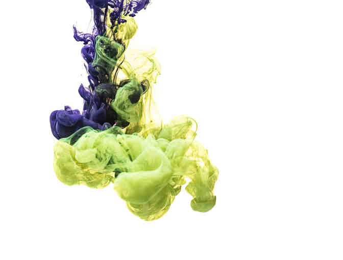 Camp Vivid Collection