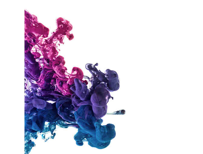 Camp Vivid Collection