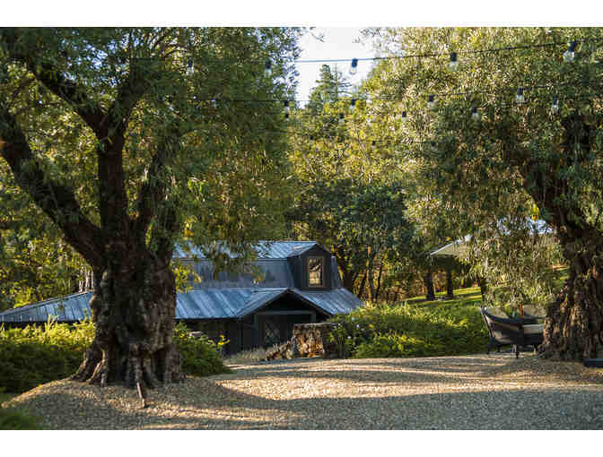 #5 San Francisco & Calistoga Getaway for 2