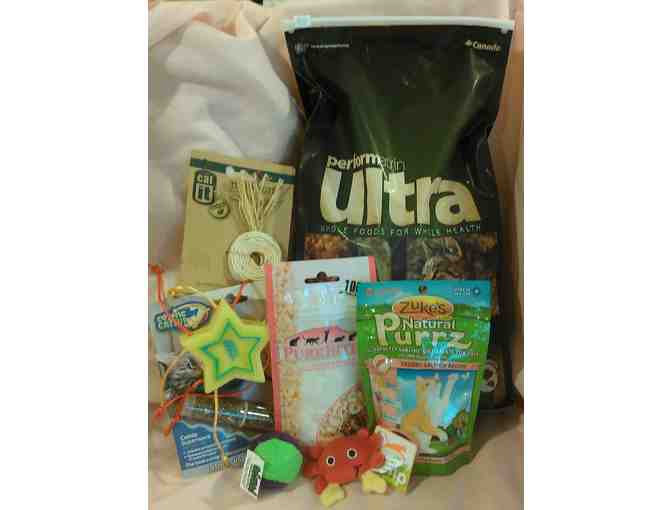 Bag of Cat Items from Pet Value in Blue Bell