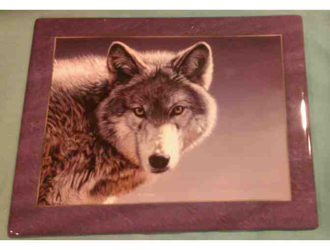 The Bradford Exchange - Wolf plate 'Silver Sovereign' Plate #A1181 from Terry Isaac