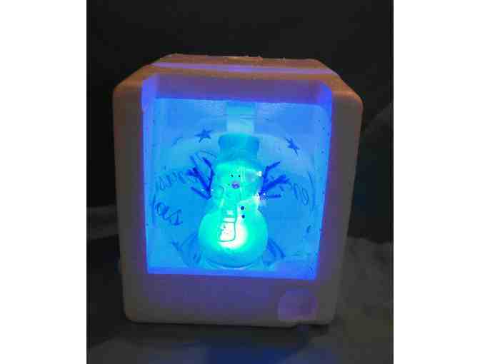 Handblown LED Glass Snowman Globe