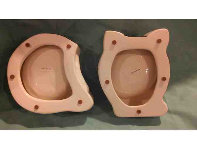 Cat Feeding Bowls