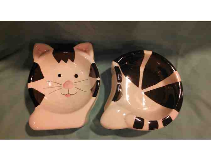 Cat Feeding Bowls