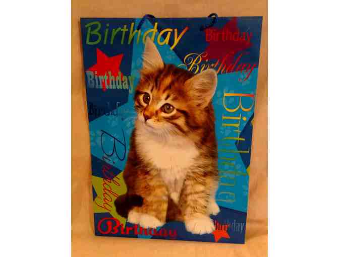 Set of 11 All-Occasion Gift Bags