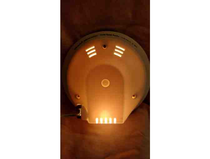 'Holly Street Bakery' Lighted Plate