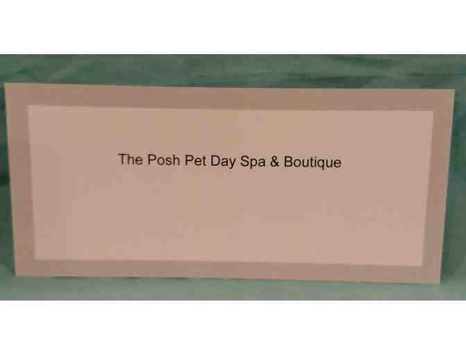 The Posh Pet Day Spa & Boutique - $25 Gift Certificate
